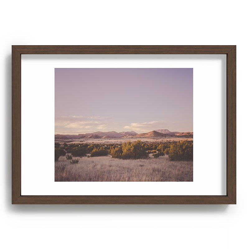 West Texas Wild Framed Art Print