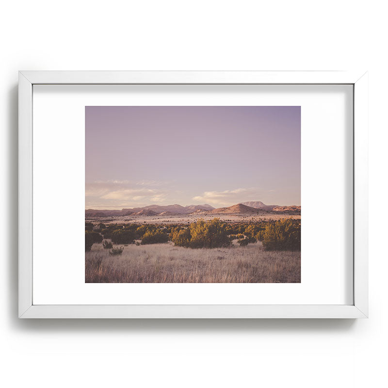 West Texas Wild Framed Art Print
