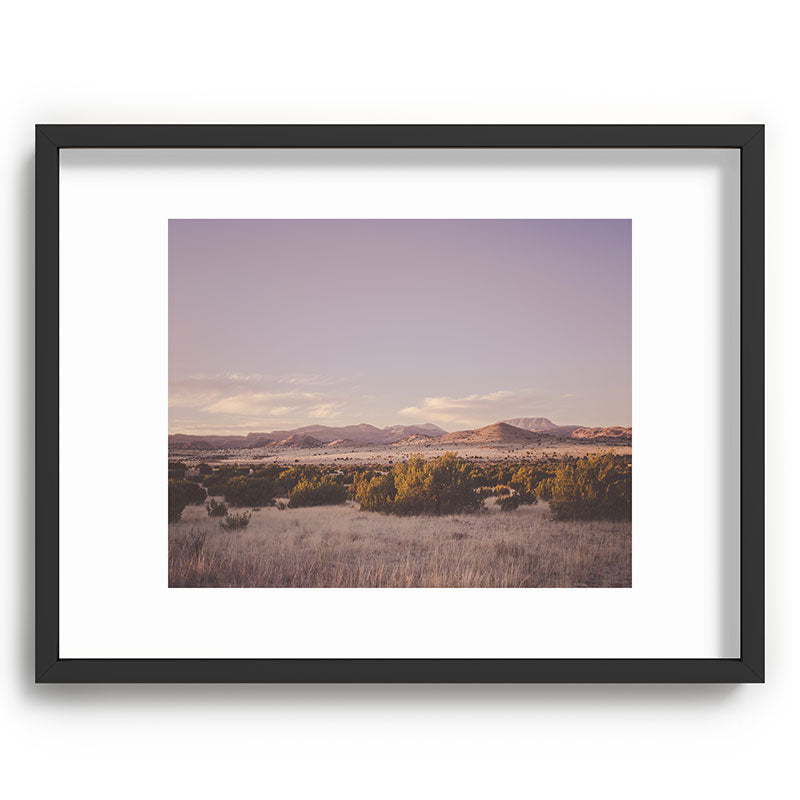 West Texas Wild Framed Art Print
