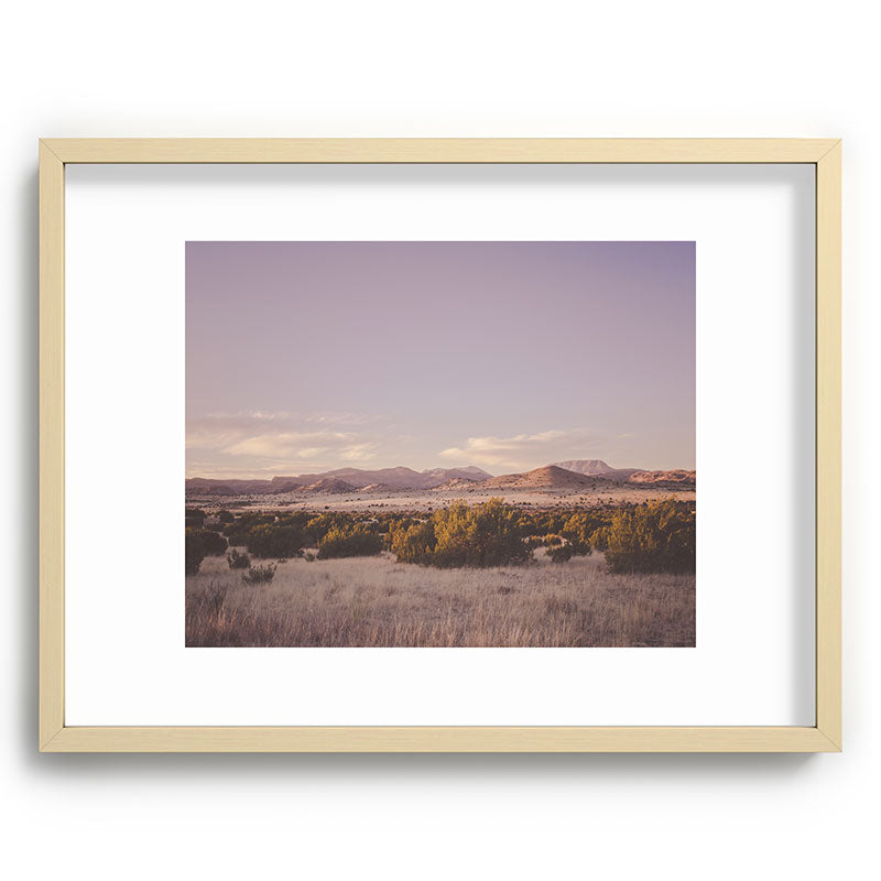 West Texas Wild Framed Art Print
