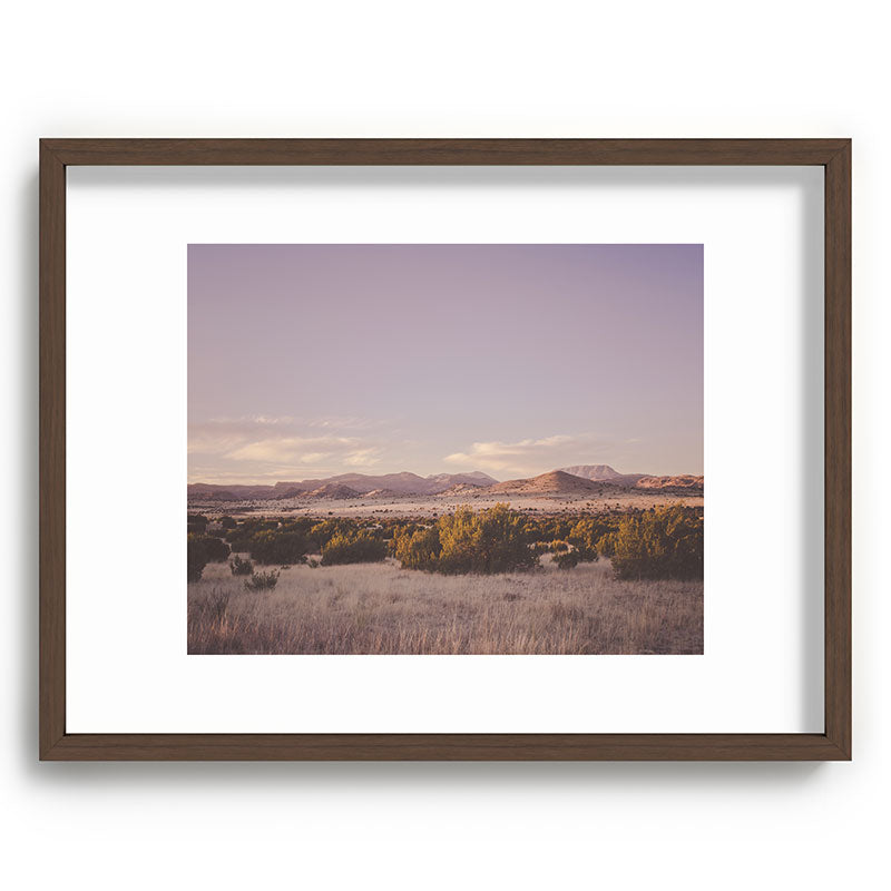 West Texas Wild Framed Art Print