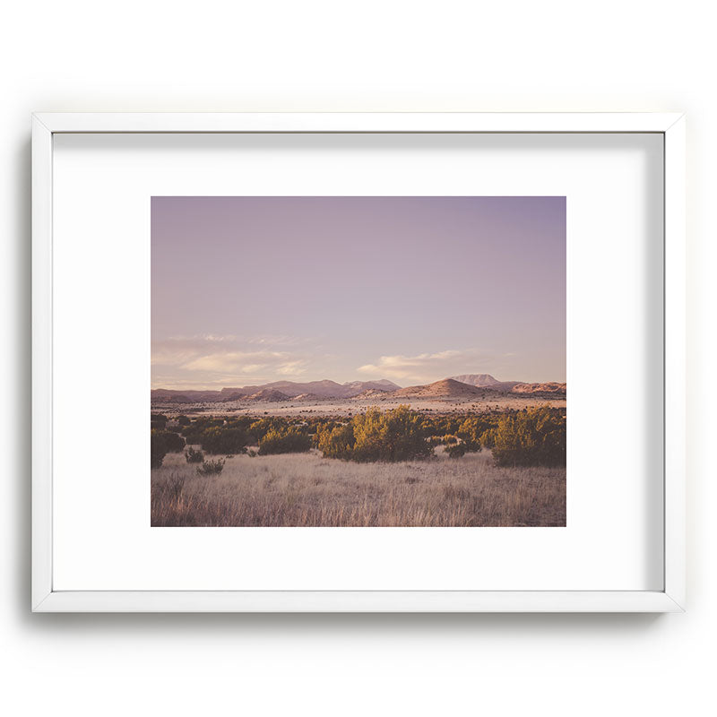 West Texas Wild Framed Art Print