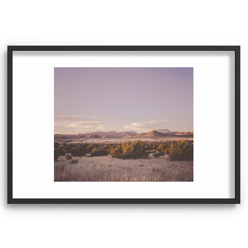 West Texas Wild Framed Art Print