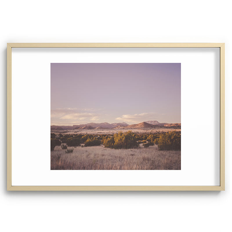 West Texas Wild Framed Art Print