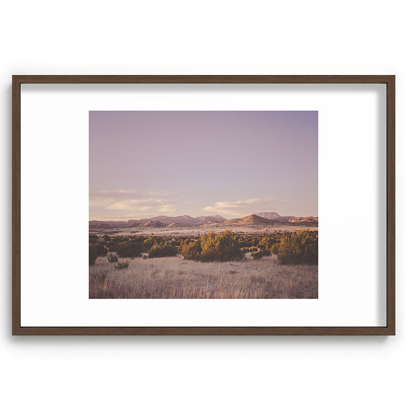 West Texas Wild Framed Art Print