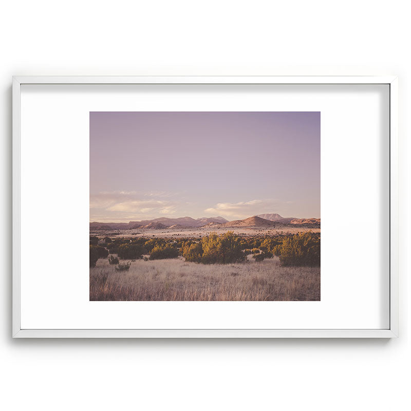 West Texas Wild Framed Art Print