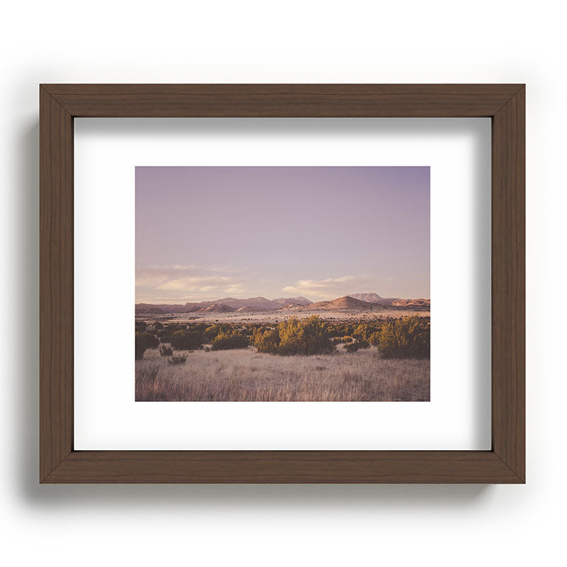 West Texas Wild Framed Art Print