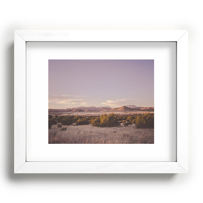 West Texas Wild Framed Art Print