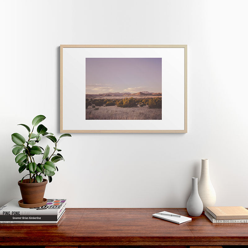 West Texas Wild Framed Art Print