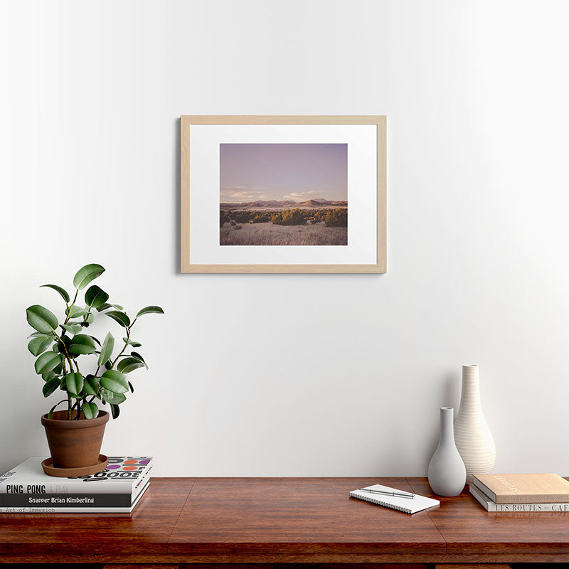 West Texas Wild Framed Art Print