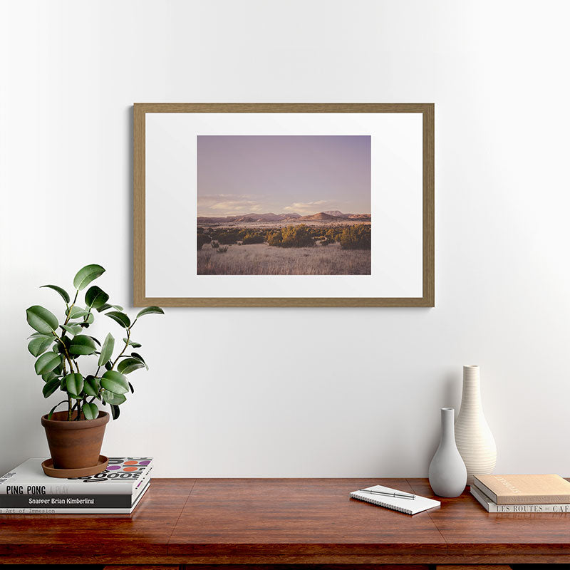 West Texas Wild Framed Art Print