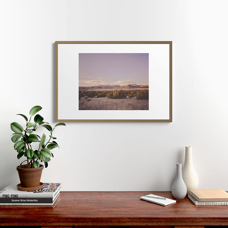 West Texas Wild Framed Art Print