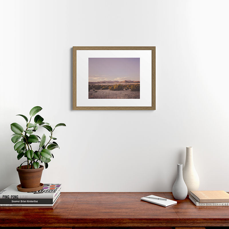 West Texas Wild Framed Art Print