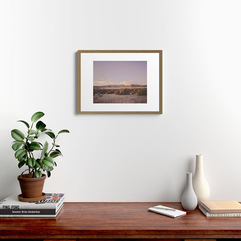 West Texas Wild Framed Art Print