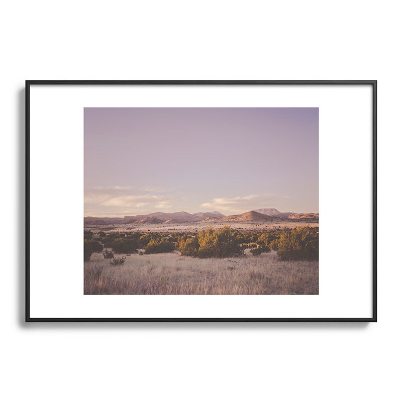 West Texas Wild Framed Art Print