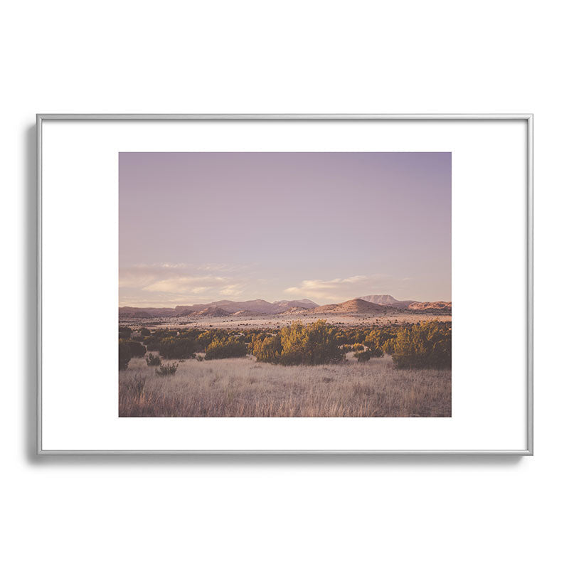 West Texas Wild Framed Art Print
