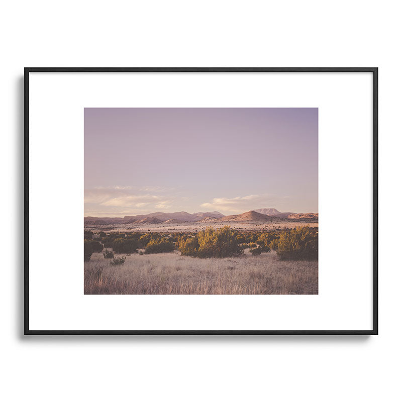 West Texas Wild Framed Art Print