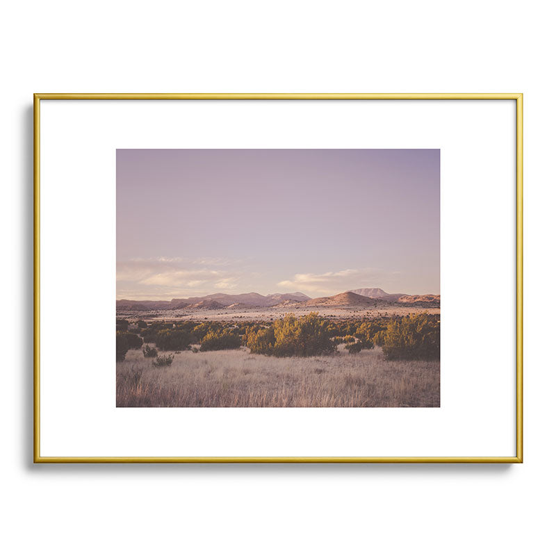 West Texas Wild Framed Art Print