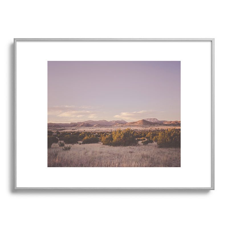 West Texas Wild Framed Art Print