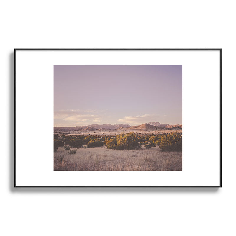 West Texas Wild Framed Art Print