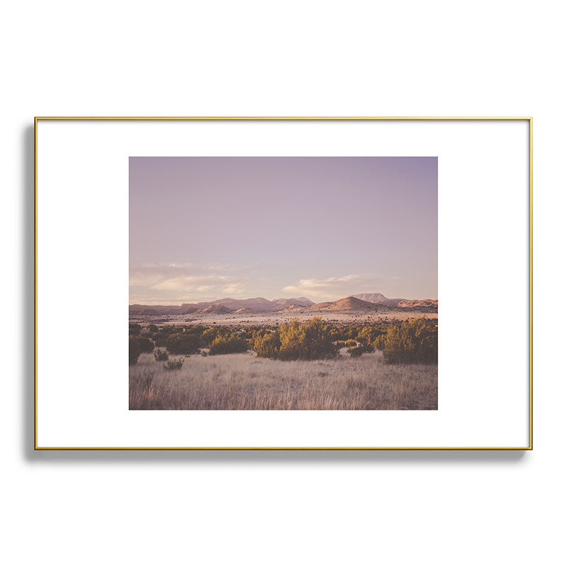 West Texas Wild Framed Art Print