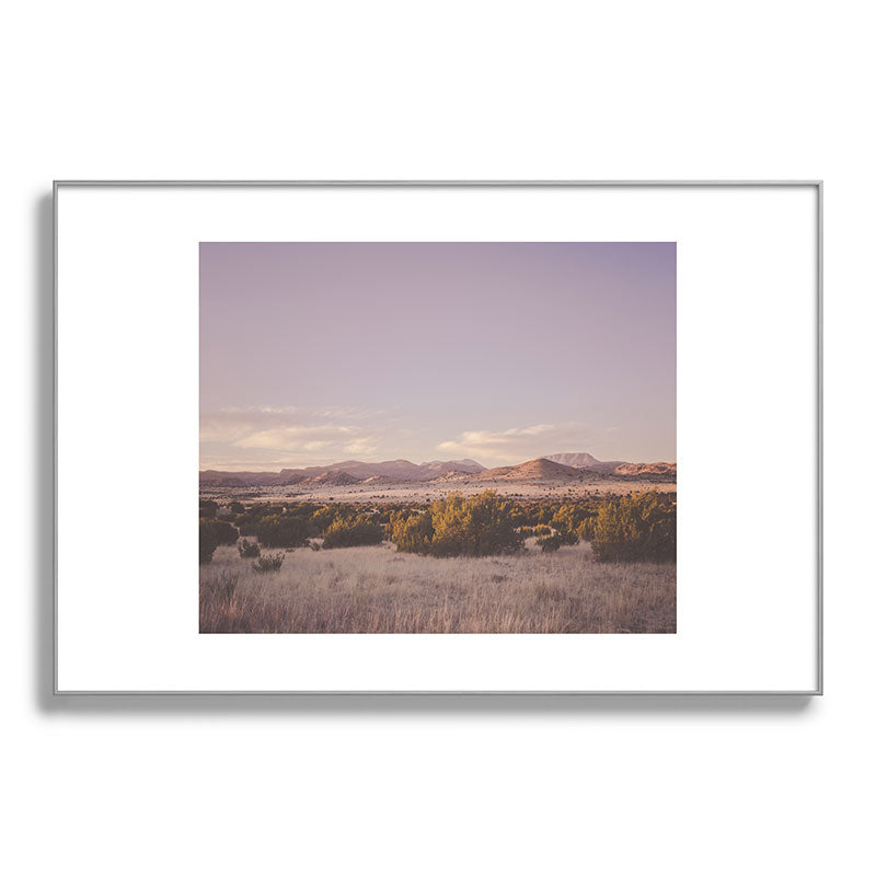 West Texas Wild Framed Art Print