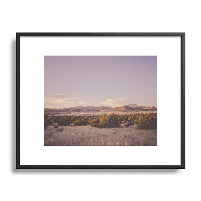 West Texas Wild Framed Art Print