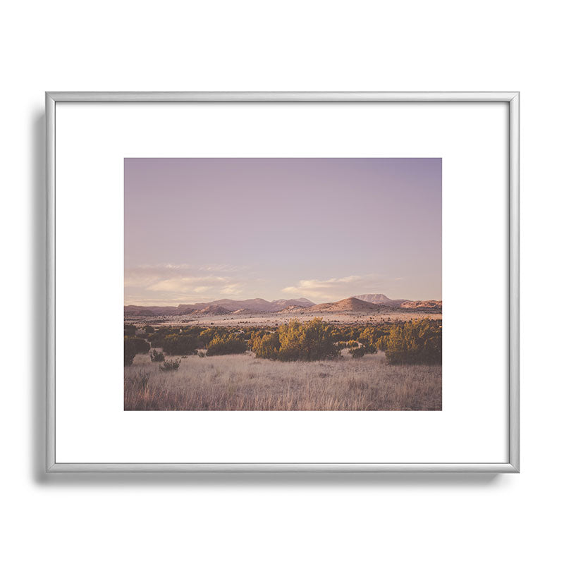 West Texas Wild Framed Art Print