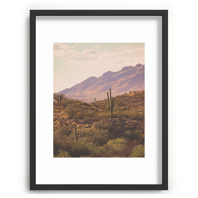 Wild West II Framed Art Print