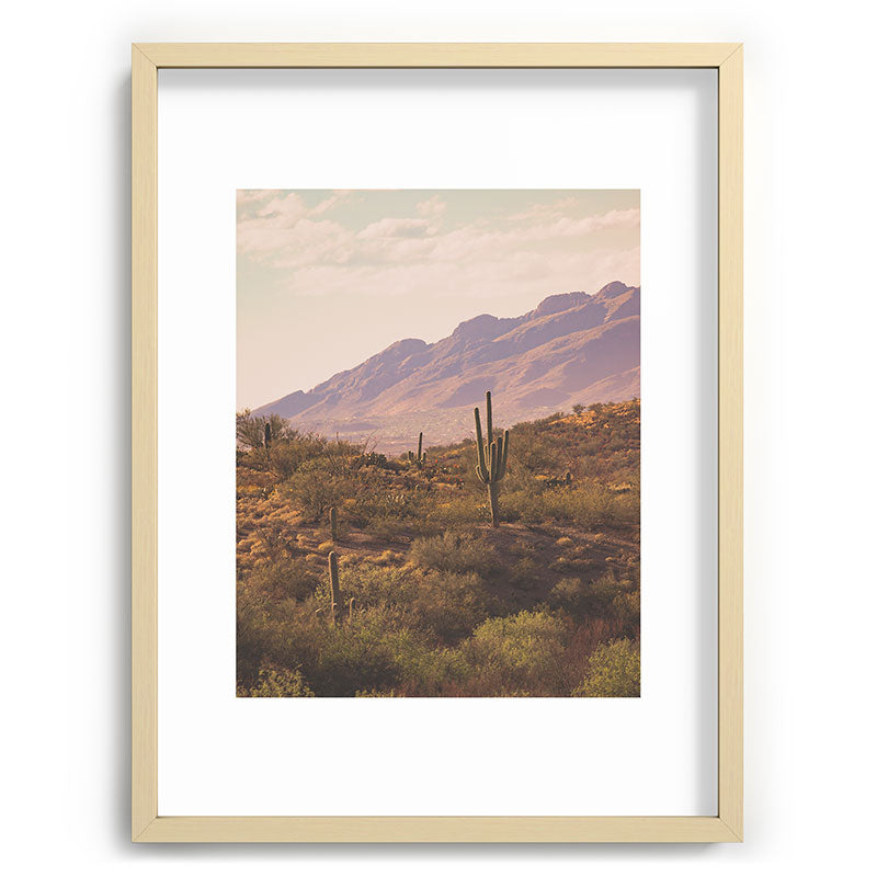 Wild West II Framed Art Print