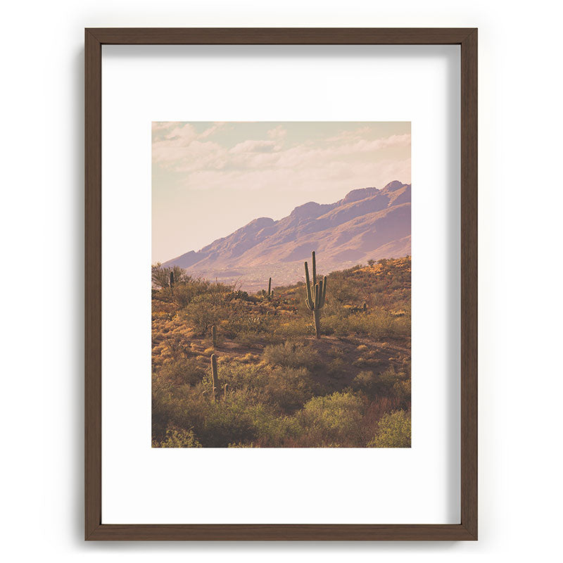 Wild West II Framed Art Print