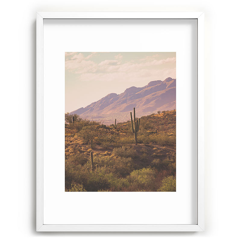 Wild West II Framed Art Print