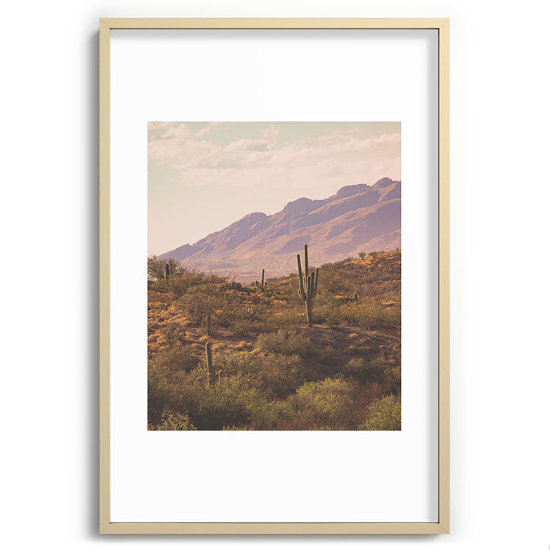 Wild West II Framed Art Print
