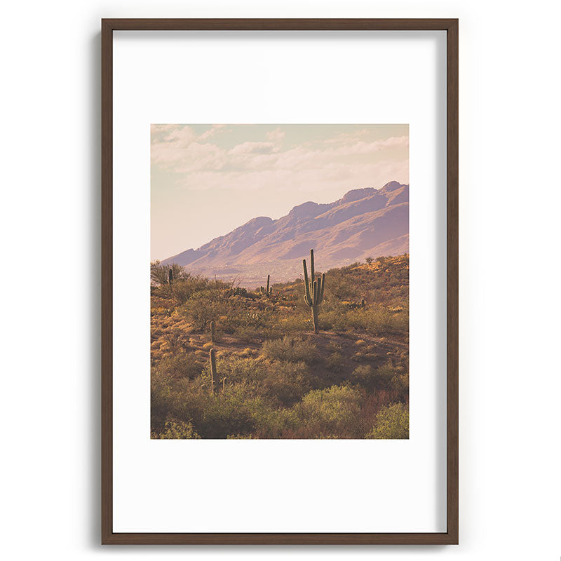 Wild West II Framed Art Print