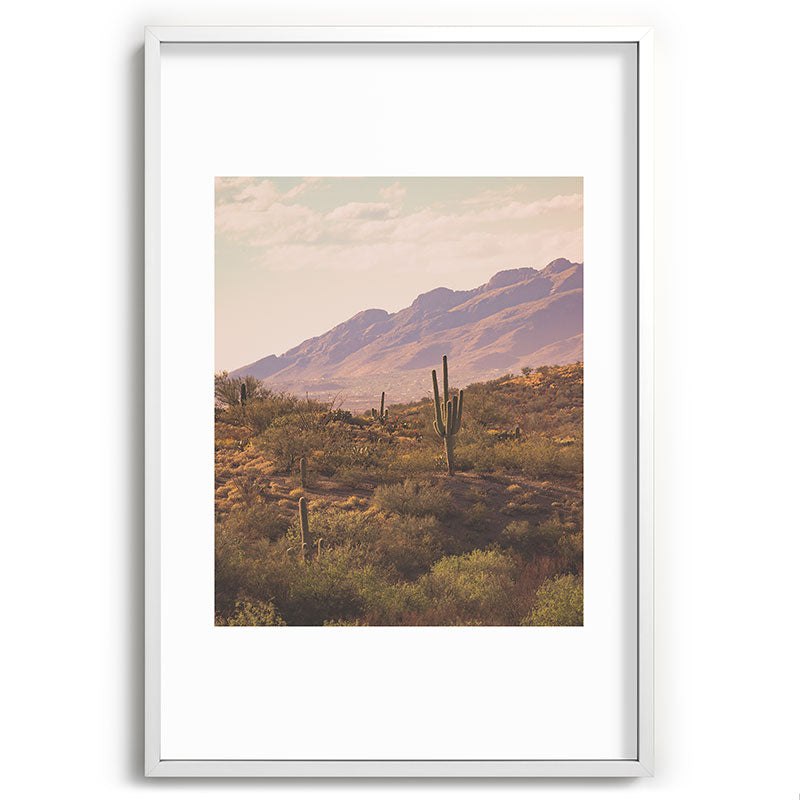 Wild West II Framed Art Print