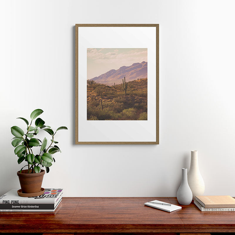Wild West II Framed Art Print