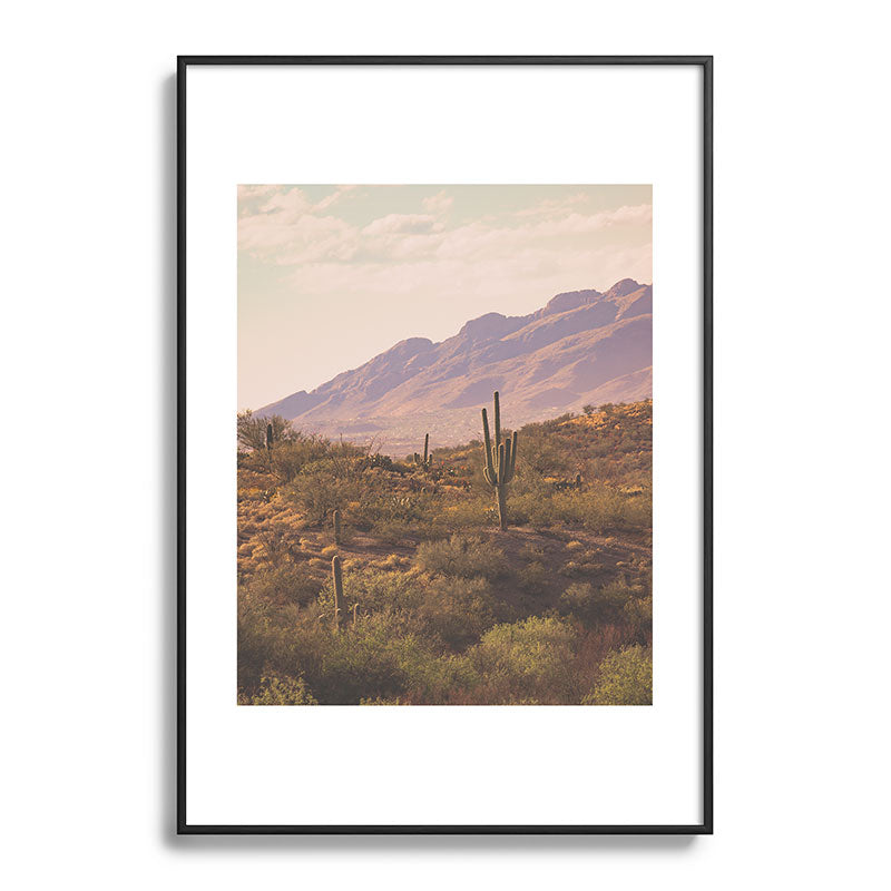 Wild West II Framed Art Print