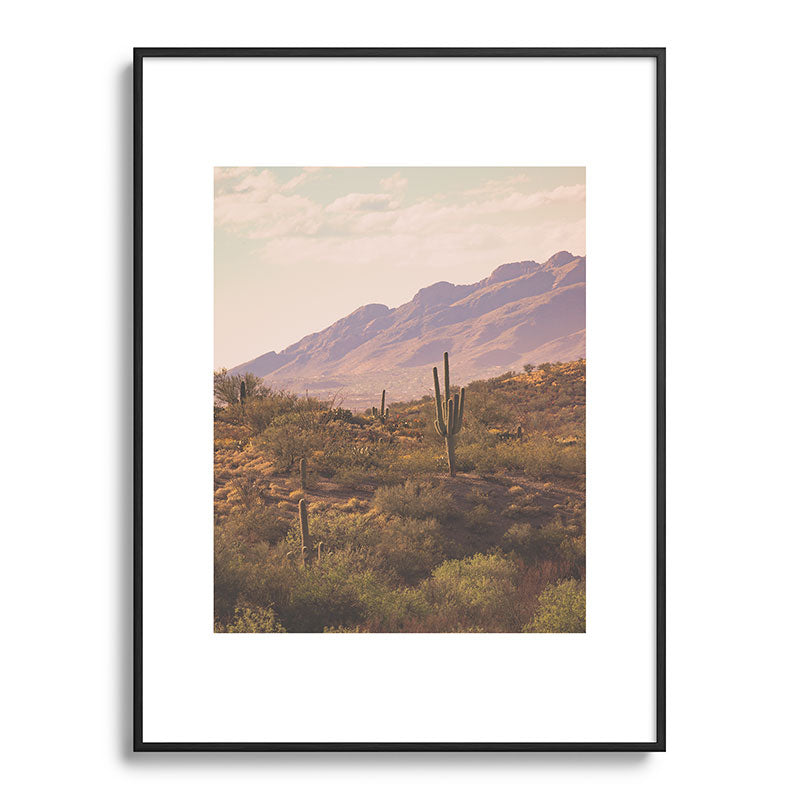 Wild West II Framed Art Print