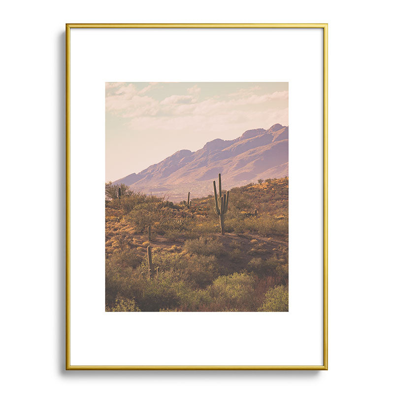 Wild West II Framed Art Print