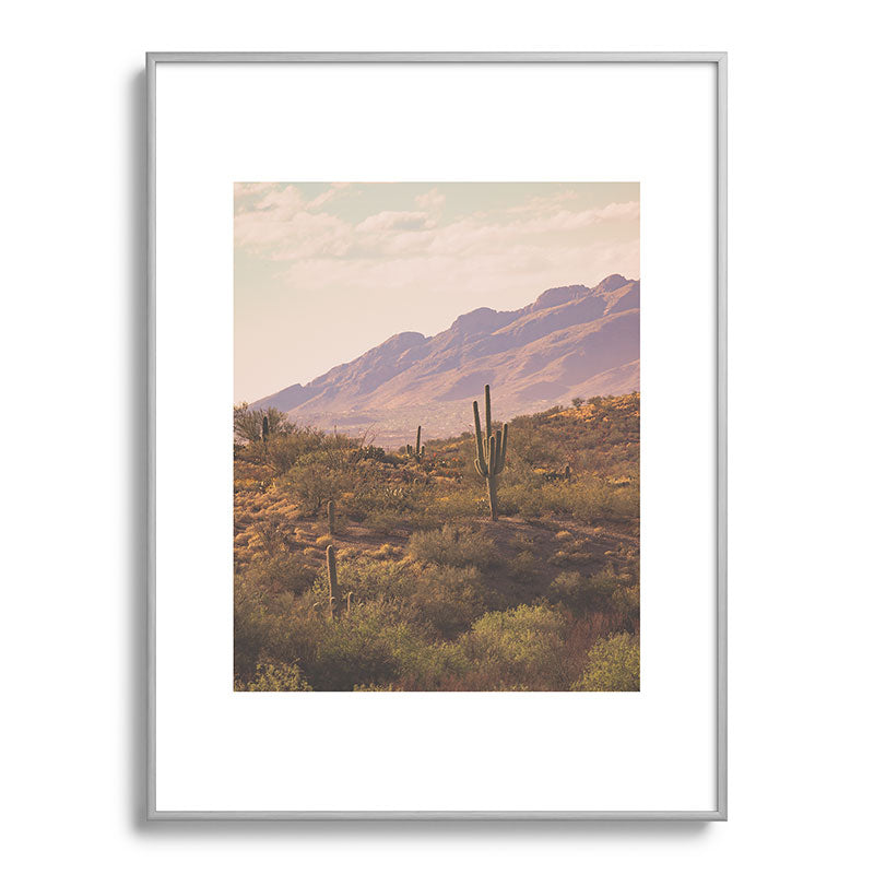Wild West II Framed Art Print