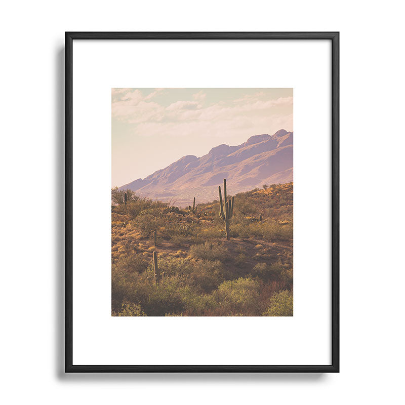 Wild West II Framed Art Print