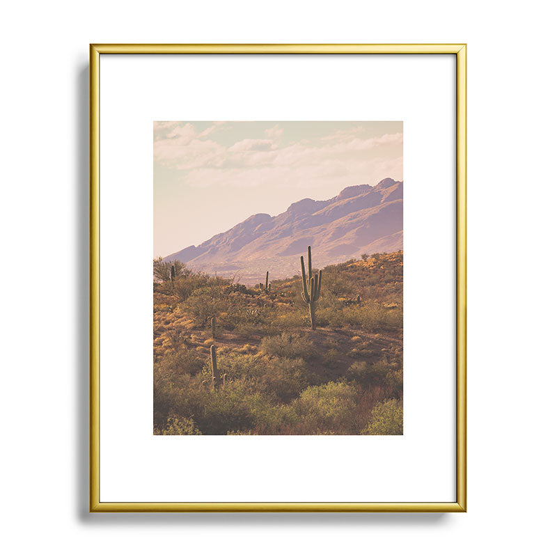 Wild West II Framed Art Print
