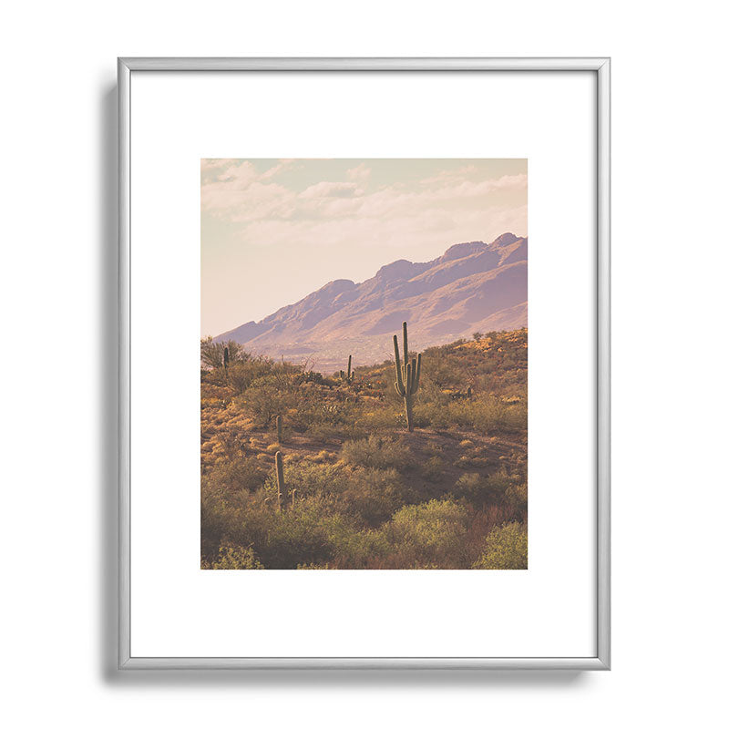 Wild West II Framed Art Print