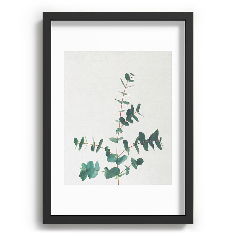 Eucalyptus Framed Art Print