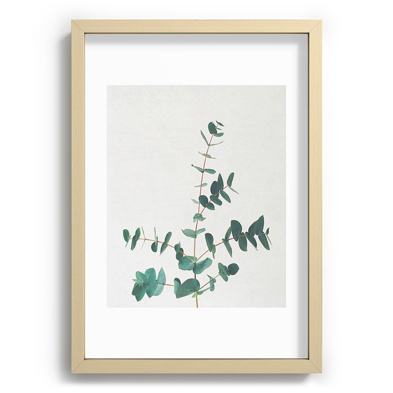 Eucalyptus Framed Art Print