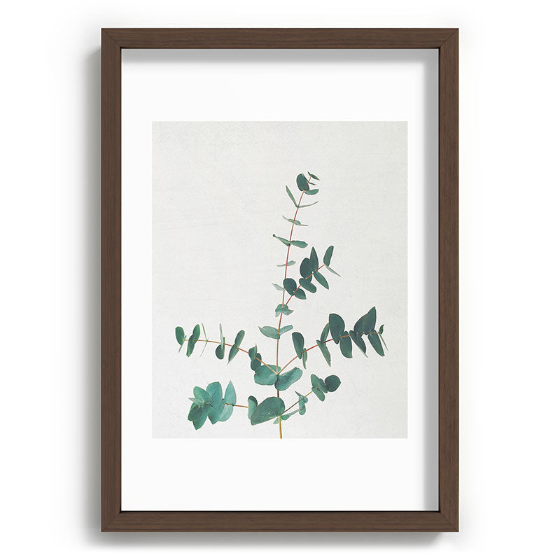 Eucalyptus Framed Art Print