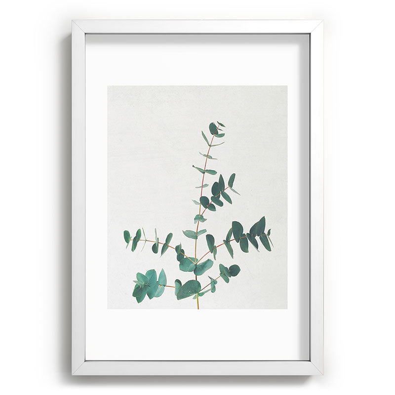 Eucalyptus Framed Art Print