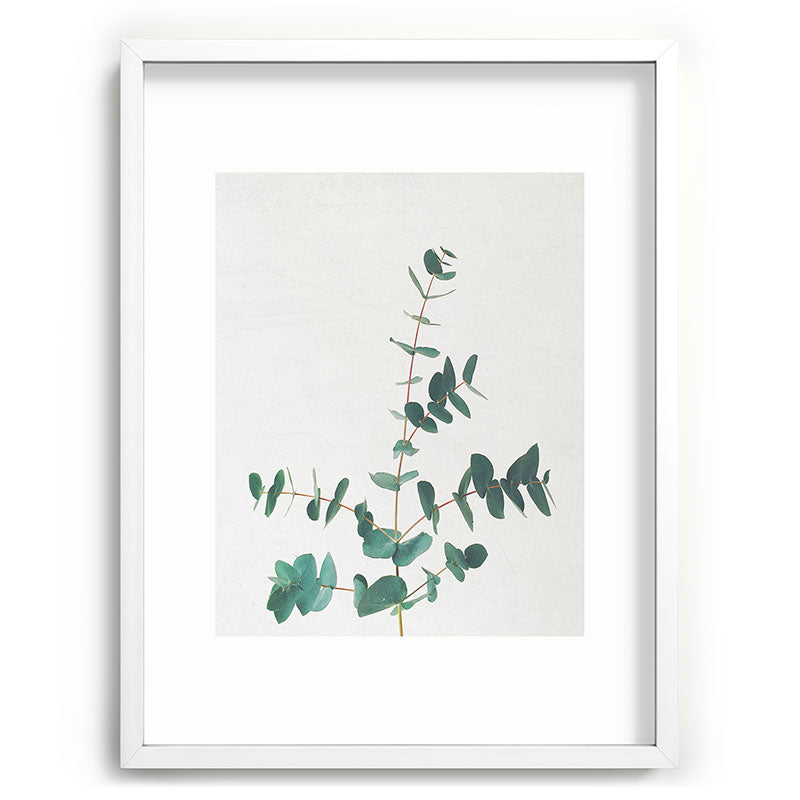 Eucalyptus Framed Art Print