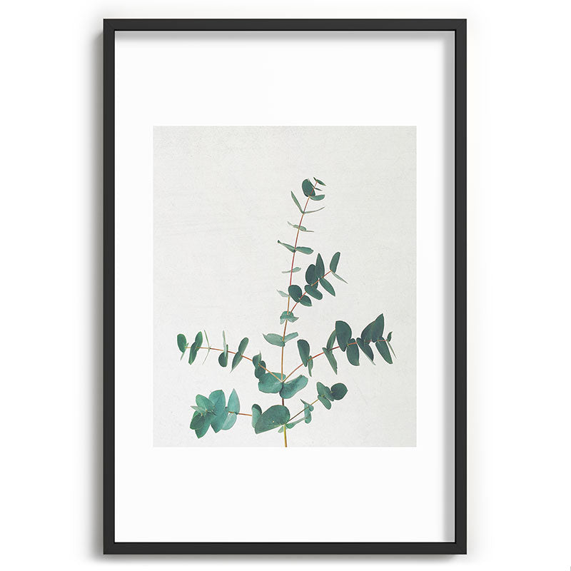 Eucalyptus Framed Art Print
