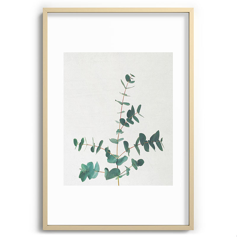 Eucalyptus Framed Art Print